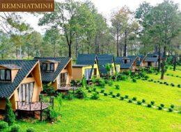 Thiết kế homestay